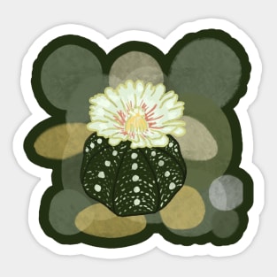 Astrophytum cactus Sticker